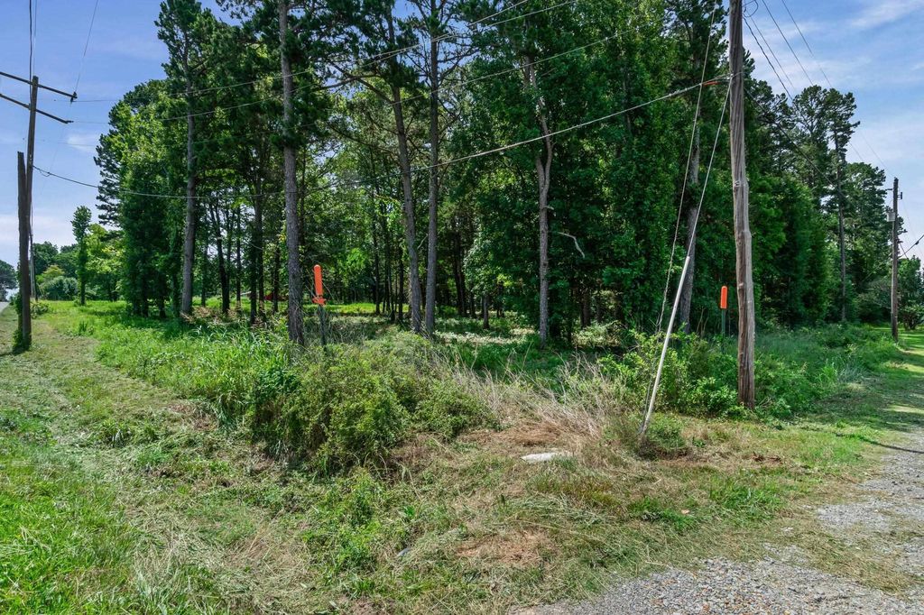 Par Block 5 SunnyMeadow/Broadway, Heber Springs, AR 72543 — photo 19