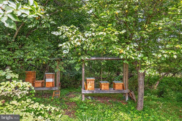 38217 MOUNTAIN AIR LN, Lovettsville, VA 20180