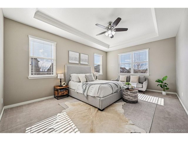 13071 Coffee Tree St, Parker, CO 80134