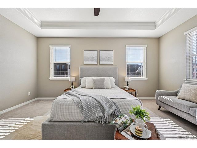 13071 Coffee Tree St, Parker, CO 80134