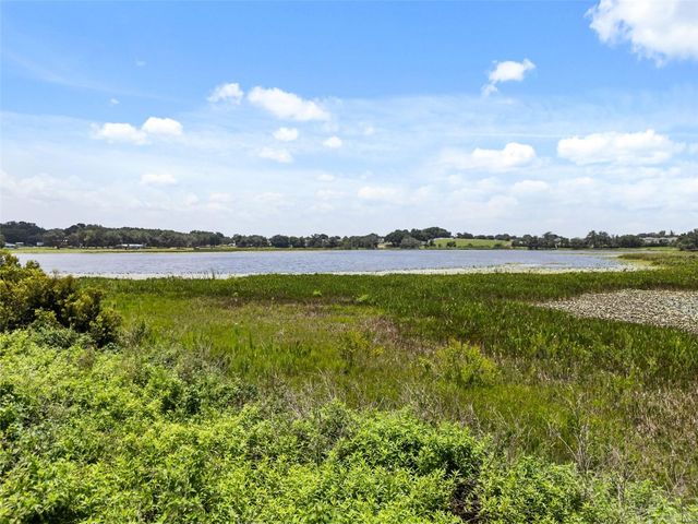 860 BROOKLET DRIVE, Davenport, FL 33837