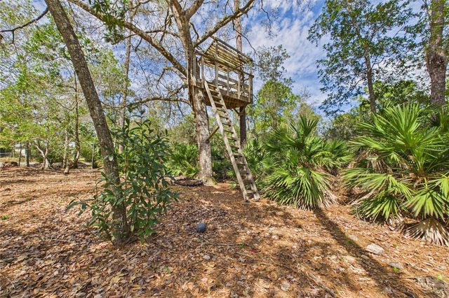 21038 REINDEER ROAD, Christmas, FL 32709