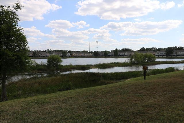 10165 HAVERHILL RIDGE DRIVE, Riverview, FL 33578