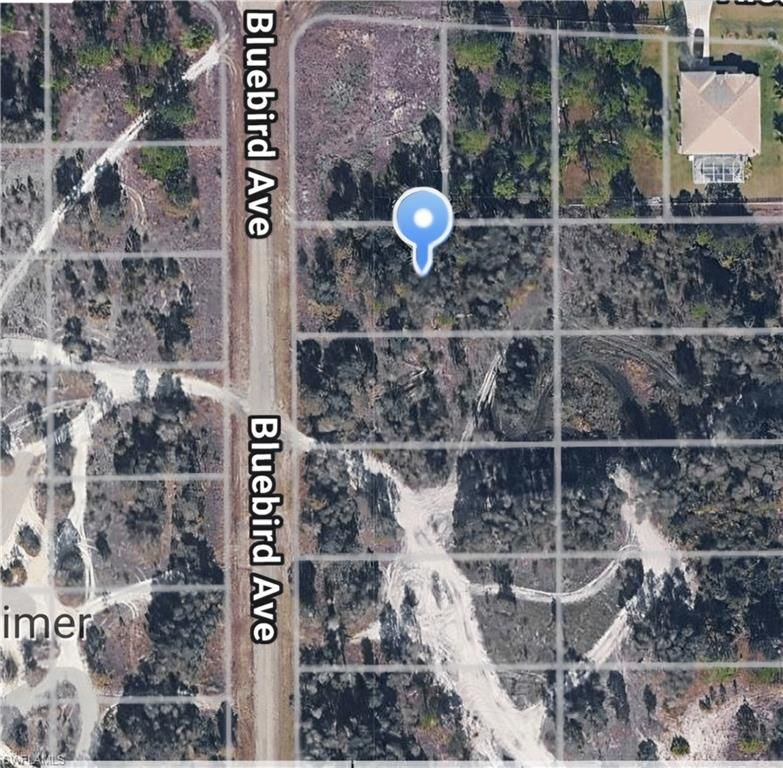 717 Bluebird AVE, Lehigh Acres, FL 33974