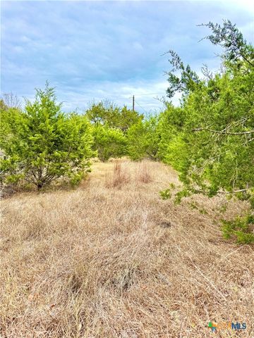 422 Eagle Lane, Fischer, TX 78606
