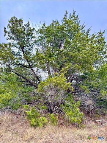 422 Eagle Lane, Fischer, TX 78606