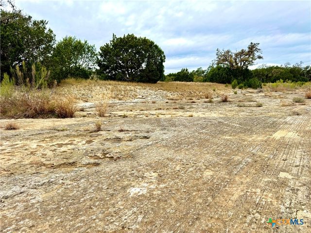 422 Eagle Lane, Fischer, TX 78606