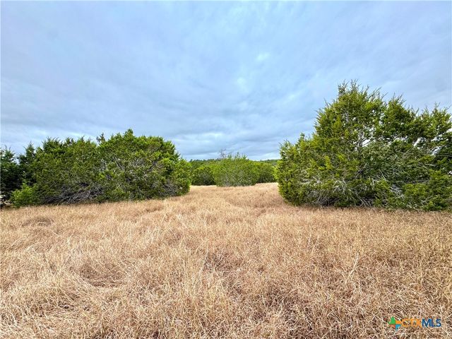 422 Eagle Lane, Fischer, TX 78606