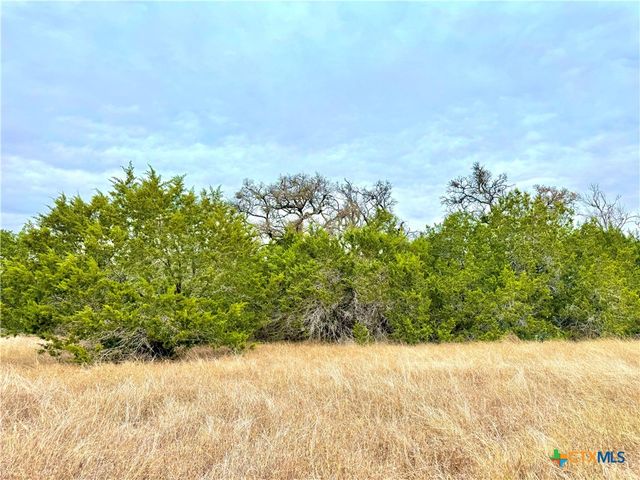 422 Eagle Lane, Fischer, TX 78606