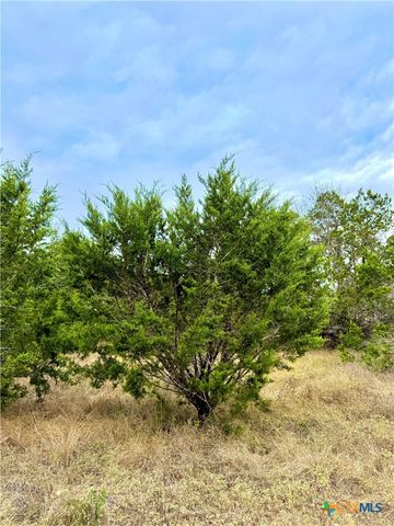 422 Eagle Lane, Fischer, TX 78606