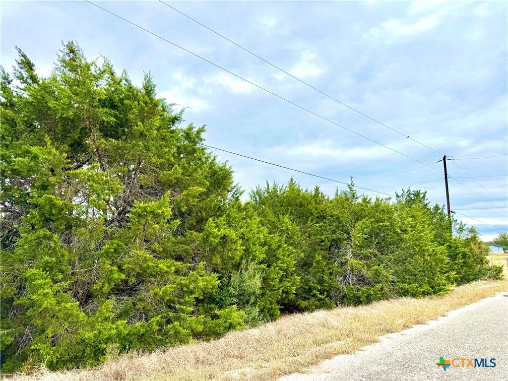 422 Eagle Lane, Fischer, TX 78606