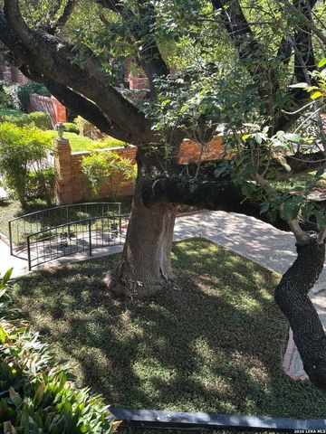 8401 N New Braunfels Ave Apt 213A, San Antonio, TX 78209