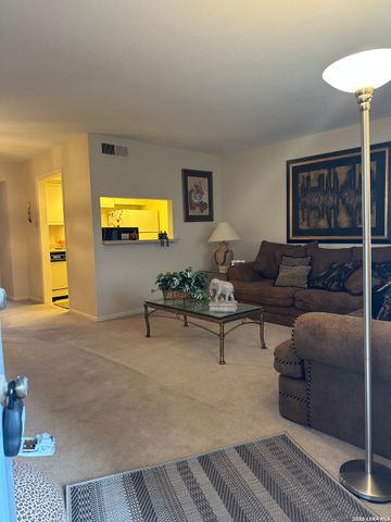 8401 N New Braunfels Ave Apt 213A, San Antonio, TX 78209