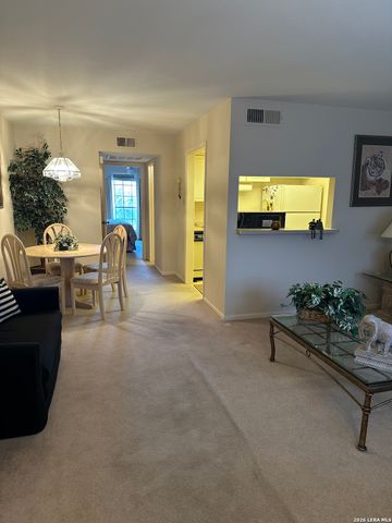 8401 N New Braunfels Ave Apt 213A, San Antonio, TX 78209