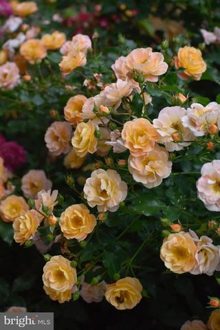 5408 HEATHERFORD CT, Fairfax, VA 22030