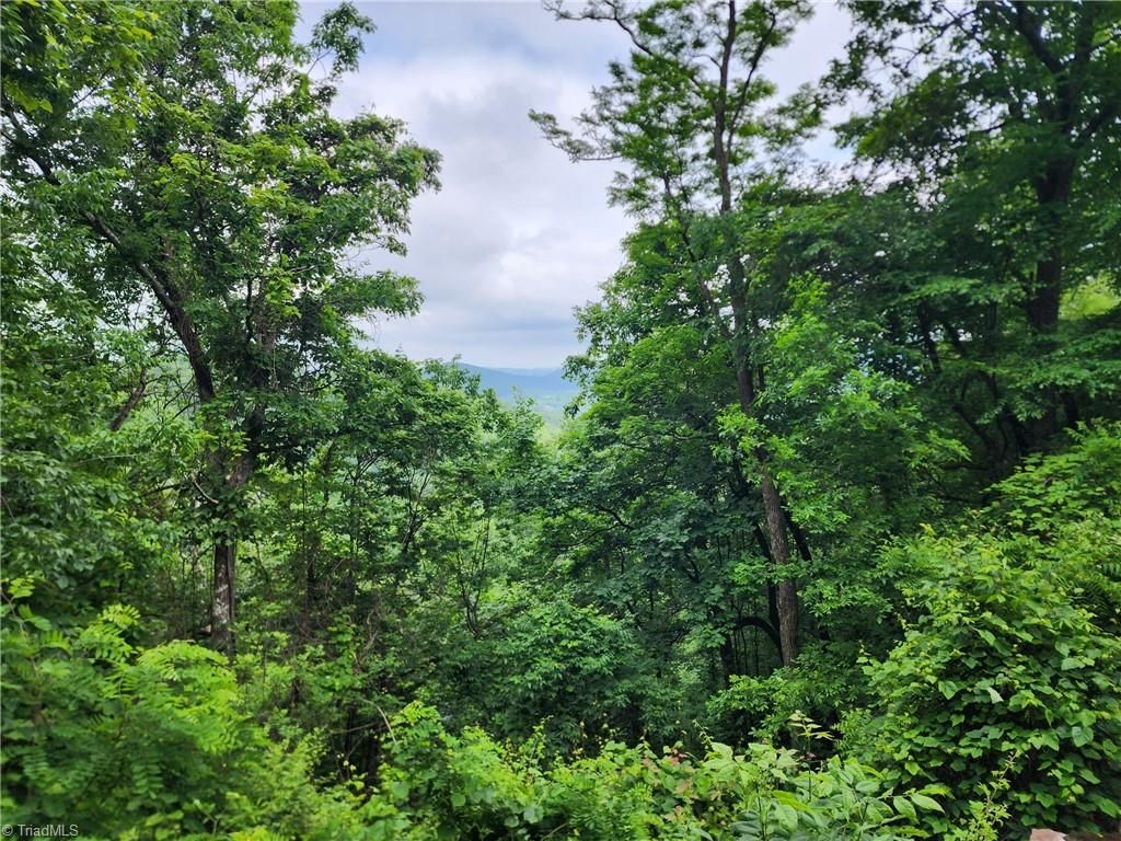 2750 Reedy Branch Road, Purlear, NC 28665