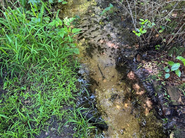 32AC Cr 363, Buffalo, TX 75831