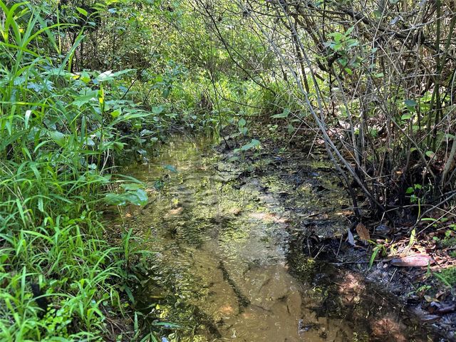 32AC Cr 363, Buffalo, TX 75831