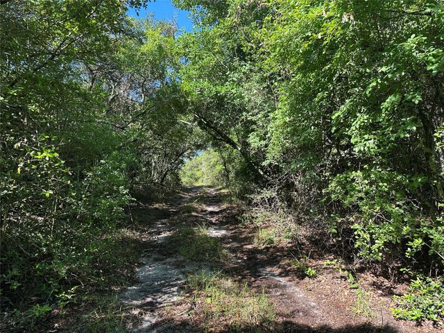 32AC Cr 363, Buffalo, TX 75831