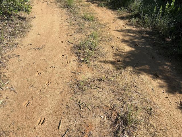 32AC Cr 363, Buffalo, TX 75831