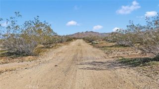 11 Highway 247/Brack Rd, Lucerne Valley, CA 92356