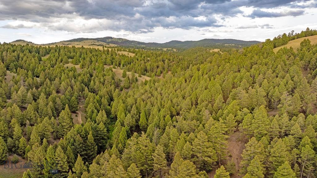TBD Perkins Gulch Road, Anaconda, MT 59711 — photo 2