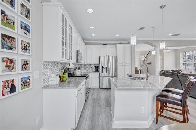 14510 MIRABELLE VISTA CIRCLE, Tampa, FL 33626