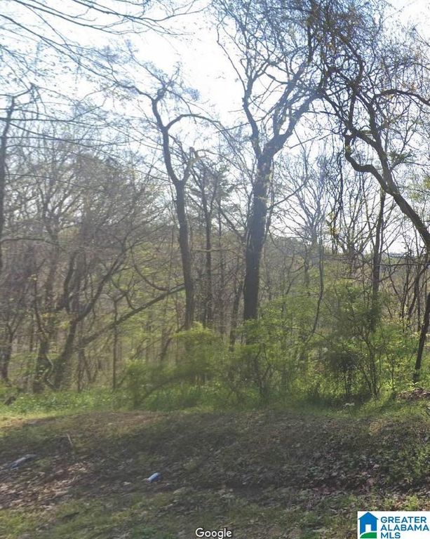 4601 SILVER LAKE ROAD, Pinson, AL 35126