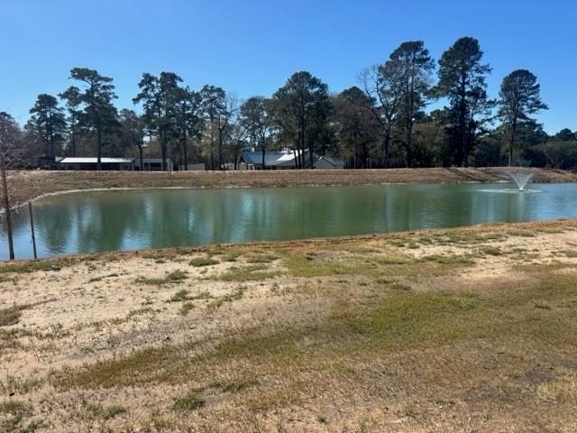 213 Hidden Oak Drive, Hockley, TX 77447