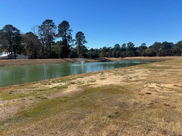 213 Hidden Oak Drive, Hockley, TX 77447