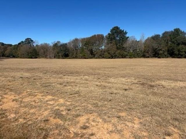 213 Hidden Oak Drive, Hockley, TX 77447