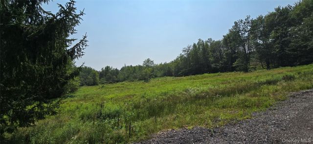 376 Aden Hill Road, Neversink, NY 12765