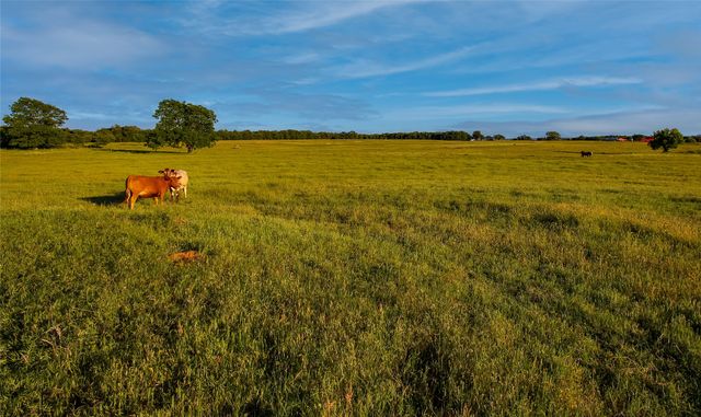 TBD FM 920, Poolville, TX 76487