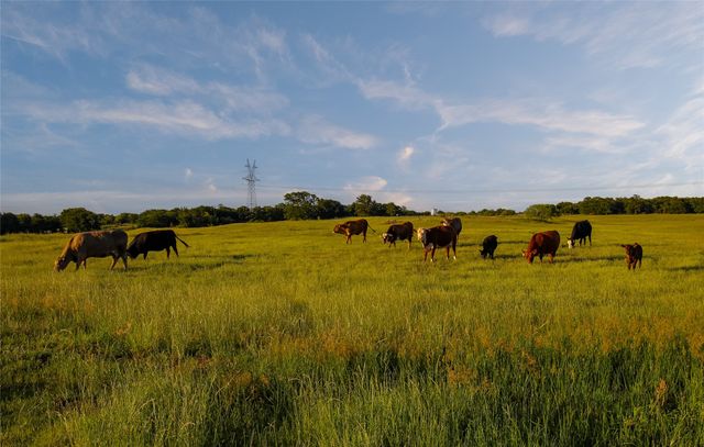 TBD FM 920, Poolville, TX 76487