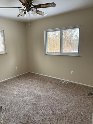 4225 Baldwin Road, Metamora, MI 48455