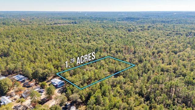 XX Jim Cotton Drive, Defuniak Springs, FL 32433