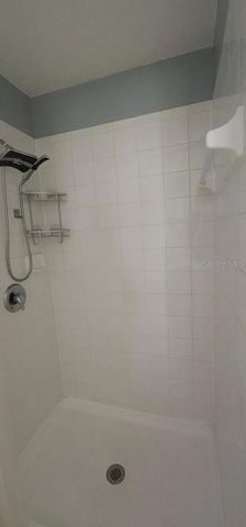 3926 CONSTANTINE LOOP, Wesley Chapel, FL 33543