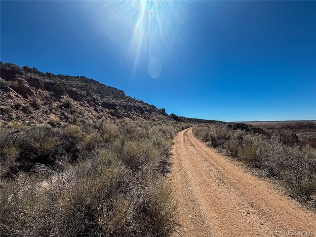 LOT 2517 Paine Rd N, Fort Garland, CO 81133
