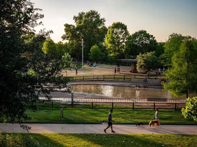 4020 Roseland Street, Houston, TX 77006