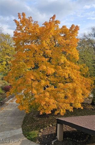 171 Court Drive 301, Fairlawn, OH 44333