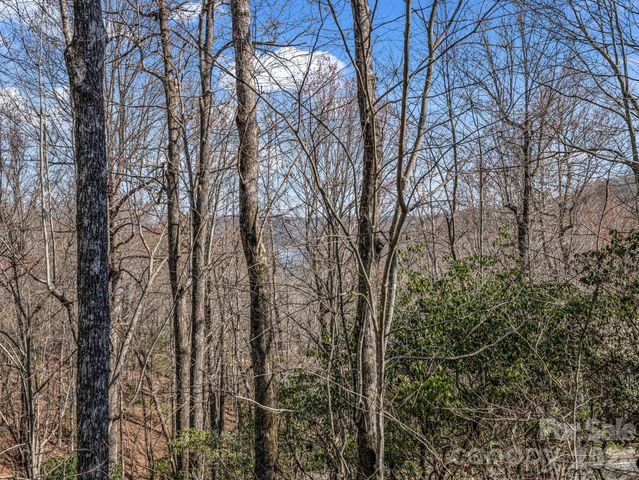 177 Tsisqua Circle, Brevard, NC 28712