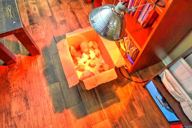 22 Primrose Lane, Greenbrier, AR 72058