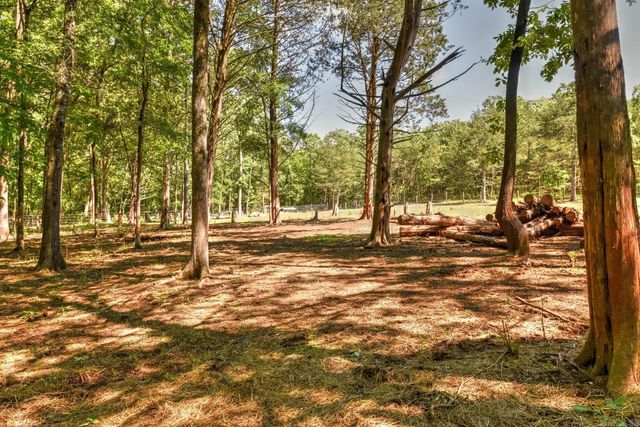 22 Primrose Lane, Greenbrier, AR 72058