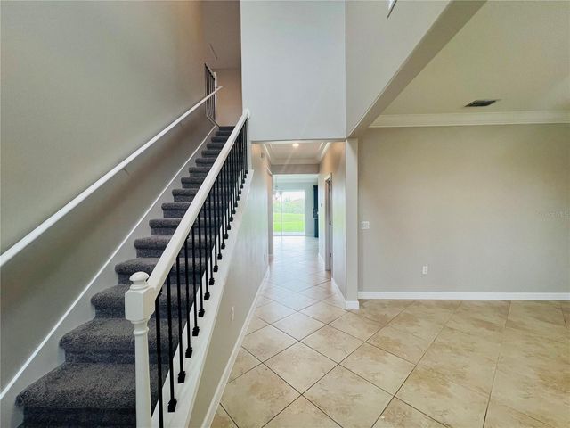 13149 GREEN VIOLET DRIVE, Riverview, FL 33579