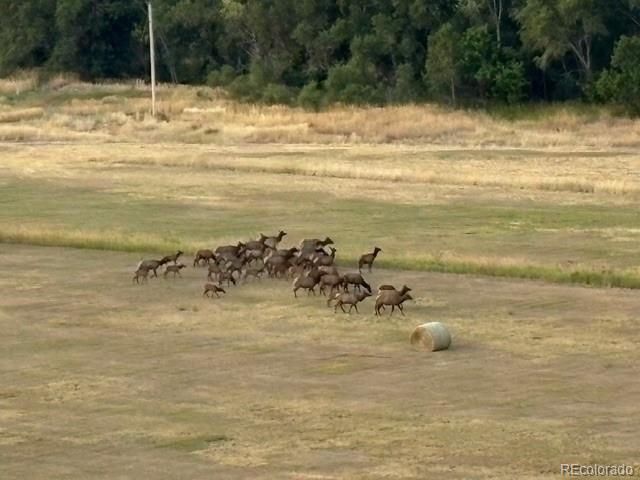 9962 W Victoria Place 106, Littleton, CO 80127