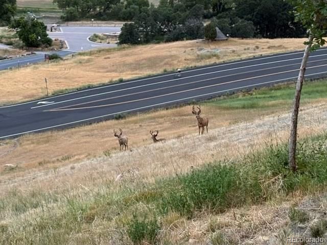 9962 W Victoria Place 106, Littleton, CO 80127