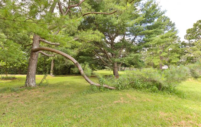 9079 E Division Street, Strafford, MO 65757