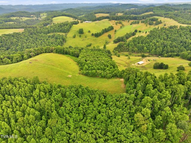 431 Strong Hollow Lane, Fort Blackmore, VA 24250