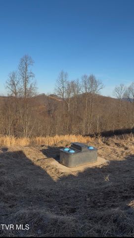431 Strong Hollow Lane, Fort Blackmore, VA 24250