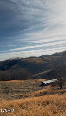 431 Strong Hollow Lane, Fort Blackmore, VA 24250